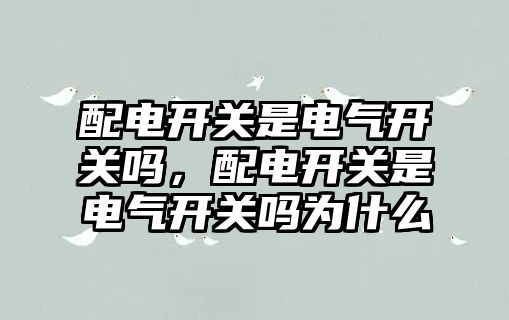 配電開關是電氣開關嗎，配電開關是電氣開關嗎為什么