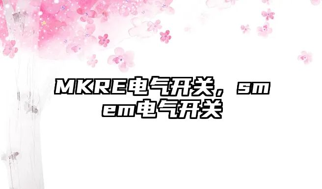 MKRE電氣開關，smem電氣開關