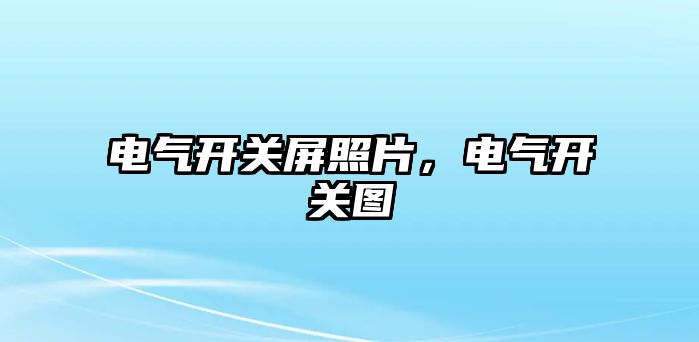 電氣開關屏照片，電氣開關圖