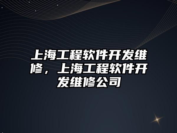 上海工程軟件開發維修，上海工程軟件開發維修公司