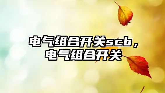 電氣組合開關scb，電氣組合開關