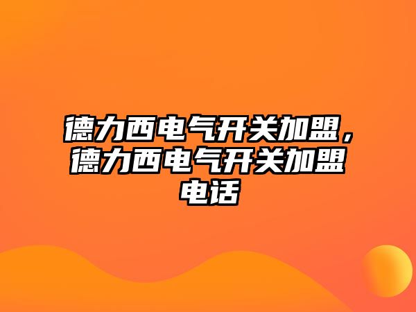 德力西電氣開關加盟，德力西電氣開關加盟電話