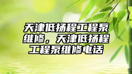 天津低揚程工程泵維修，天津低揚程工程泵維修電話