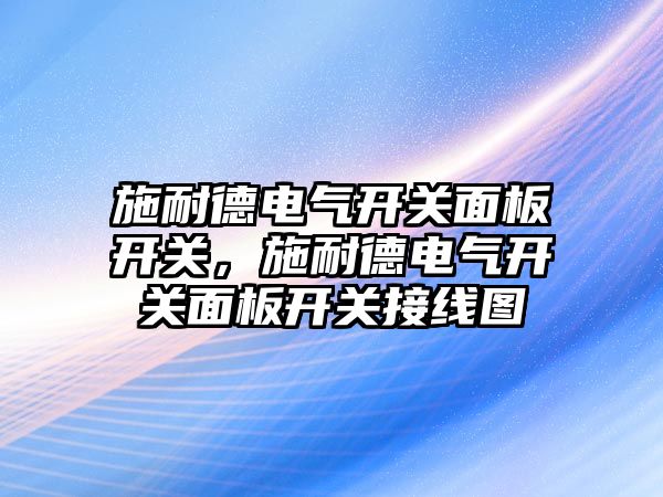 施耐德電氣開關面板開關，施耐德電氣開關面板開關接線圖