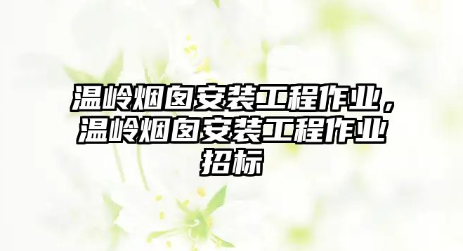 溫嶺煙囪安裝工程作業，溫嶺煙囪安裝工程作業招標