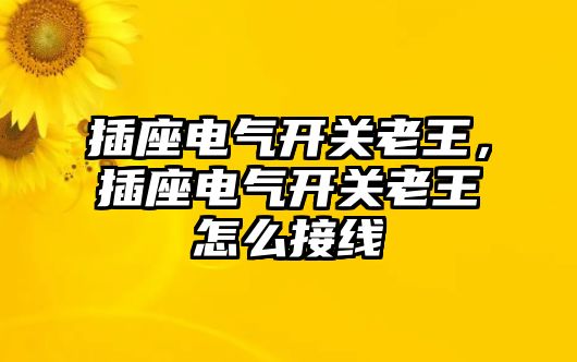 插座電氣開關老王，插座電氣開關老王怎么接線