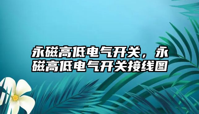 永磁高低電氣開關，永磁高低電氣開關接線圖