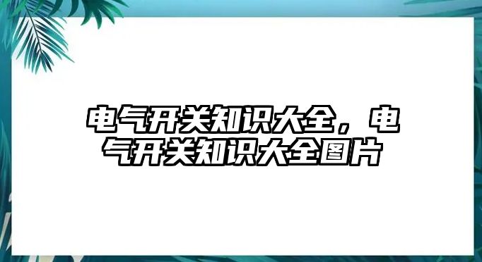 電氣開關知識大全，電氣開關知識大全圖片