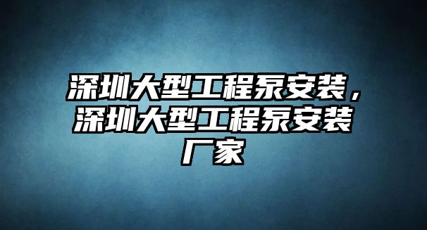 深圳大型工程泵安裝，深圳大型工程泵安裝廠家