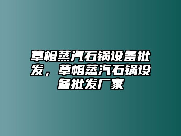 草帽蒸汽石鍋設備批發，草帽蒸汽石鍋設備批發廠家