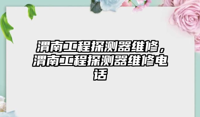 渭南工程探測器維修，渭南工程探測器維修電話