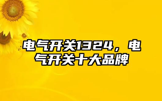 電氣開關1324，電氣開關十大品牌