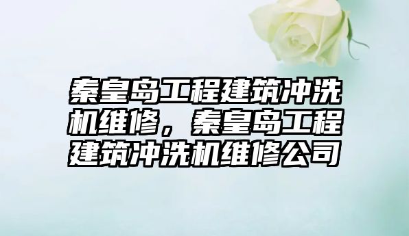 秦皇島工程建筑沖洗機維修，秦皇島工程建筑沖洗機維修公司