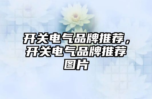 開關電氣品牌推薦，開關電氣品牌推薦圖片