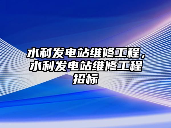 水利發電站維修工程，水利發電站維修工程招標