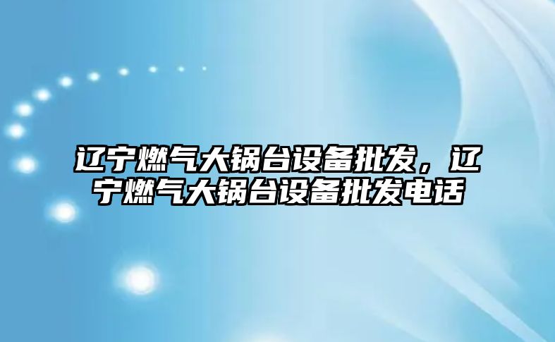 遼寧燃氣大鍋臺設備批發，遼寧燃氣大鍋臺設備批發電話