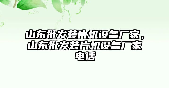 山東批發裝片機設備廠家，山東批發裝片機設備廠家電話