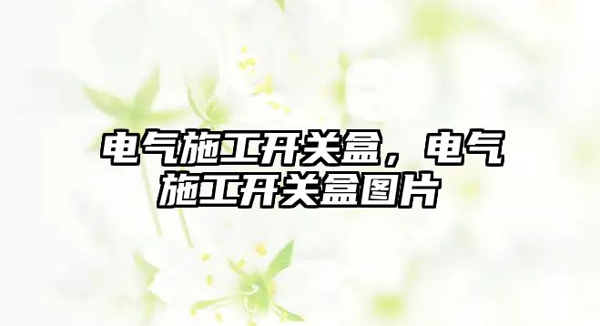 電氣施工開關盒，電氣施工開關盒圖片