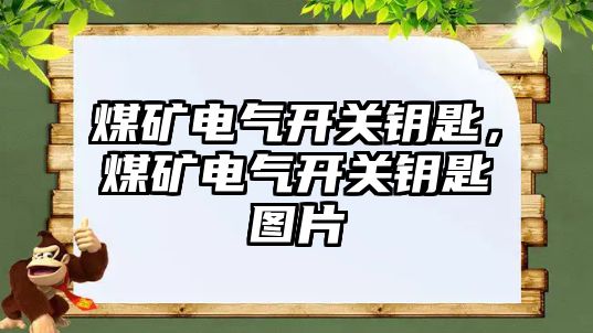 煤礦電氣開關鑰匙，煤礦電氣開關鑰匙圖片