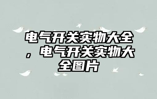 電氣開關實物大全，電氣開關實物大全圖片