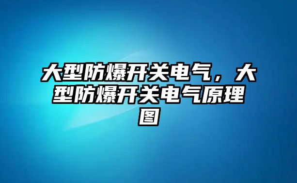 大型防爆開關電氣，大型防爆開關電氣原理圖