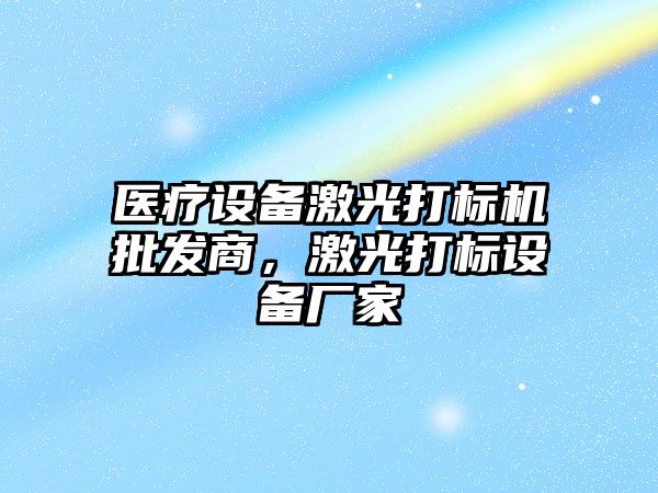 醫療設備激光打標機批發商，激光打標設備廠家