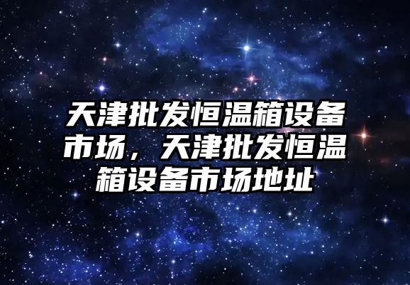 天津批發恒溫箱設備市場，天津批發恒溫箱設備市場地址