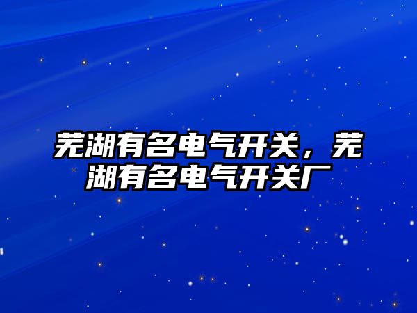 蕪湖有名電氣開關，蕪湖有名電氣開關廠