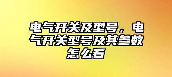 電氣開關及型號，電氣開關型號及其參數怎么看