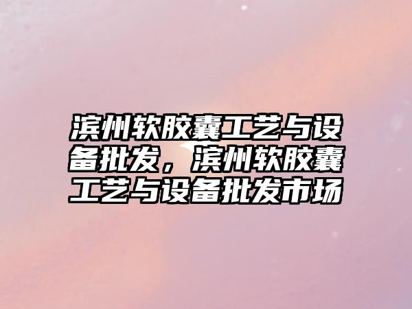 濱州軟膠囊工藝與設備批發，濱州軟膠囊工藝與設備批發市場