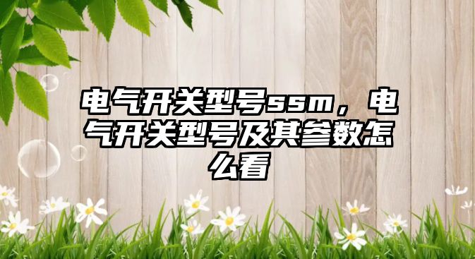 電氣開關型號ssm，電氣開關型號及其參數怎么看