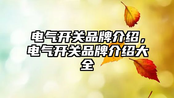 電氣開關品牌介紹，電氣開關品牌介紹大全