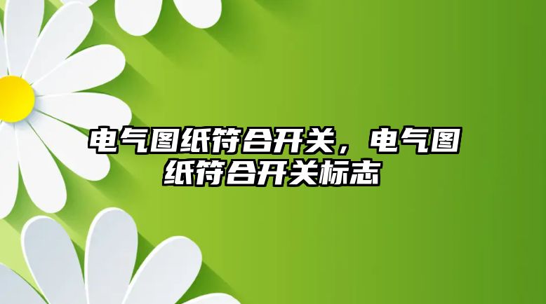 電氣圖紙符合開關，電氣圖紙符合開關標志