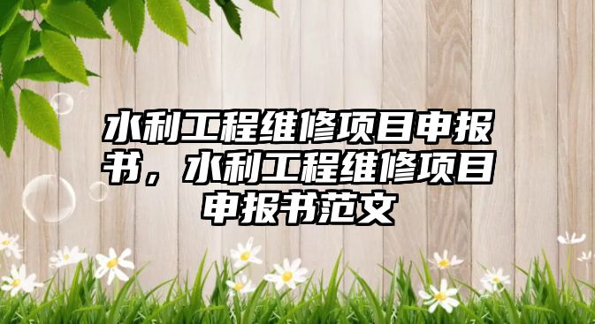 水利工程維修項目申報書，水利工程維修項目申報書范文