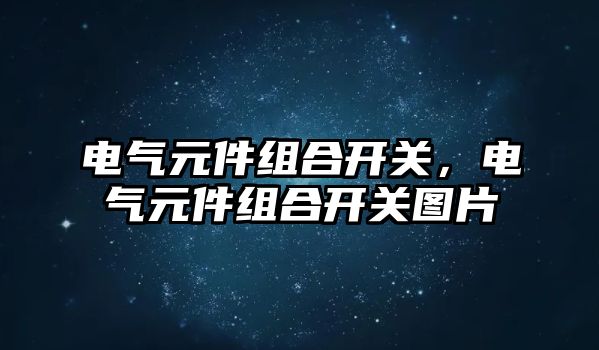 電氣元件組合開關，電氣元件組合開關圖片