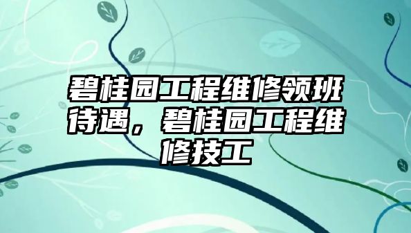 碧桂園工程維修領班待遇，碧桂園工程維修技工