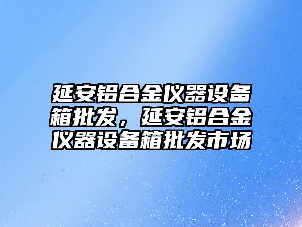 延安鋁合金儀器設備箱批發，延安鋁合金儀器設備箱批發市場