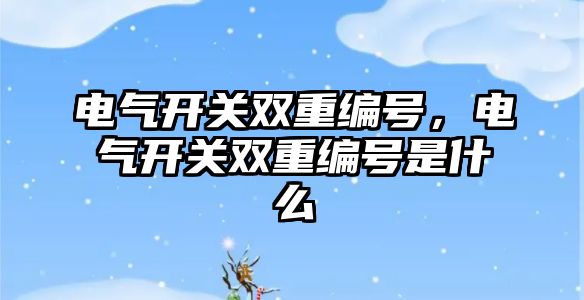 電氣開關雙重編號，電氣開關雙重編號是什么