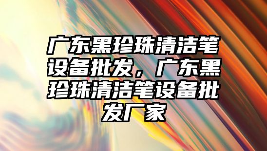 廣東黑珍珠清潔筆設備批發，廣東黑珍珠清潔筆設備批發廠家