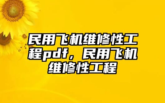 民用飛機維修性工程pdf，民用飛機維修性工程