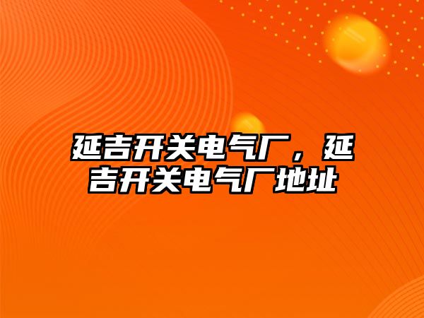 延吉開關電氣廠，延吉開關電氣廠地址