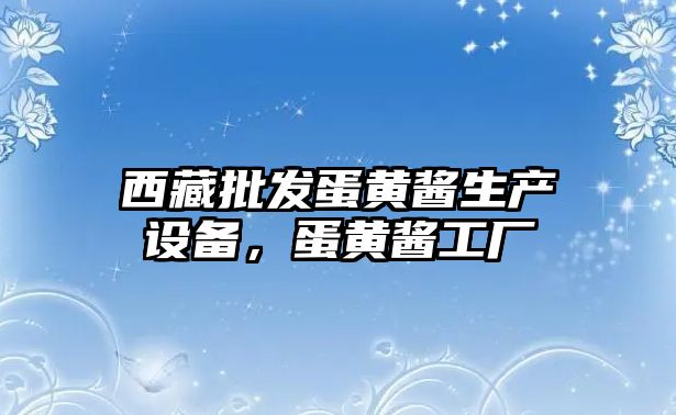 西藏批發蛋黃醬生產設備，蛋黃醬工廠