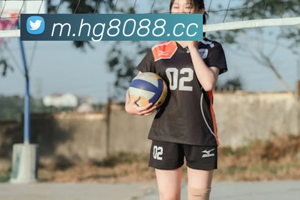 皇冠体育平台生态图