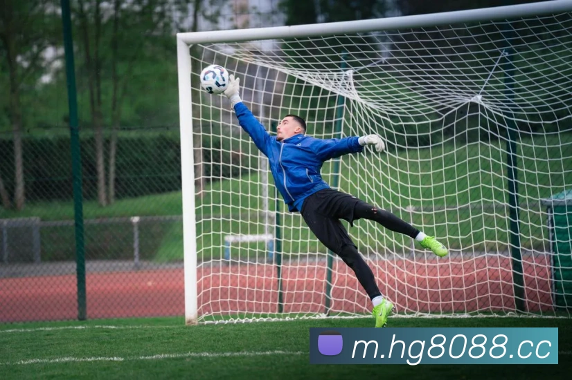 数据防护可视化